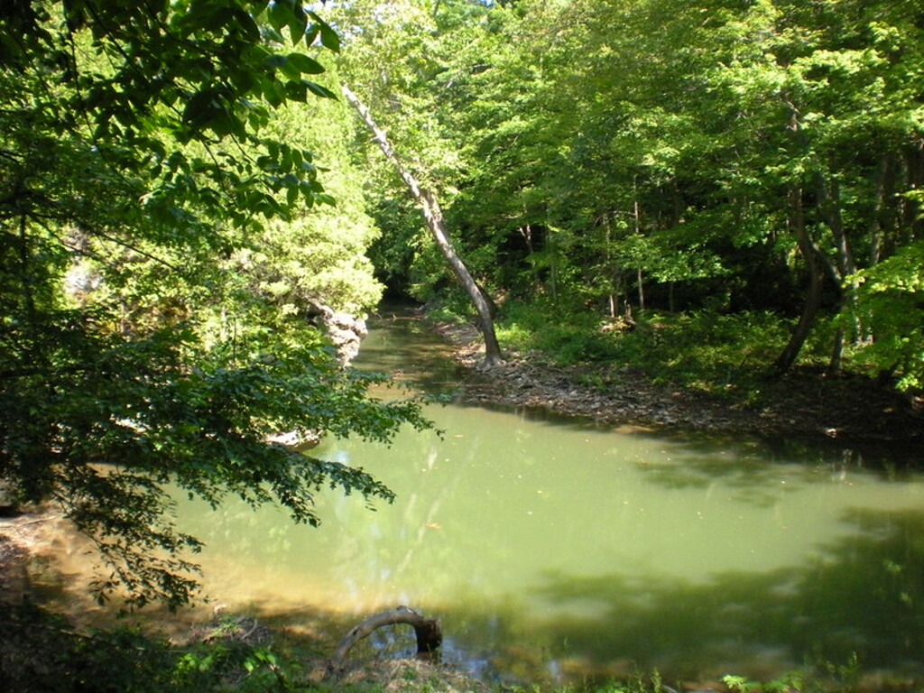 Swimming Hole