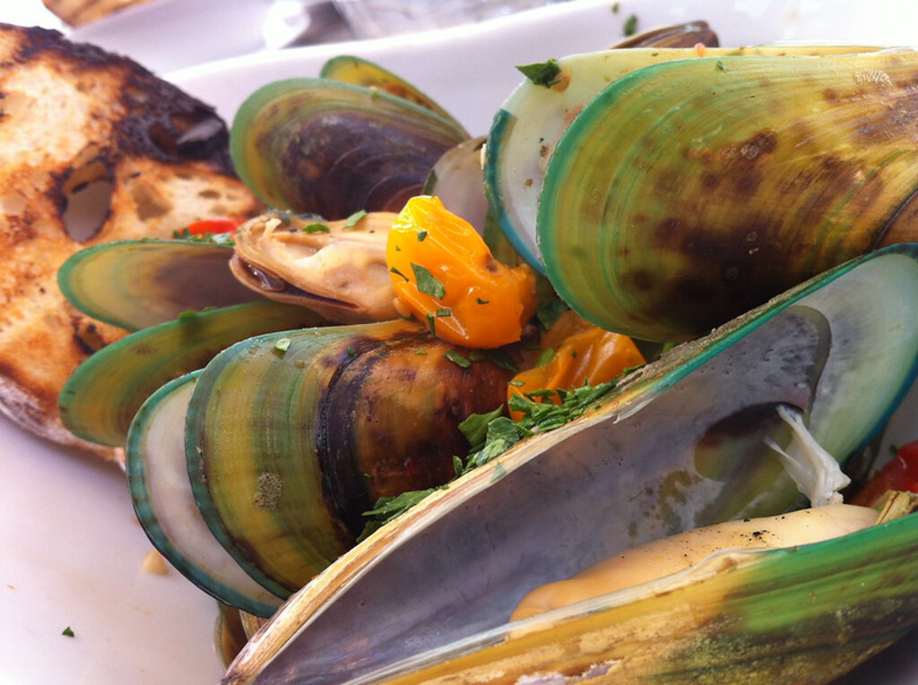 Green-lipped mussels