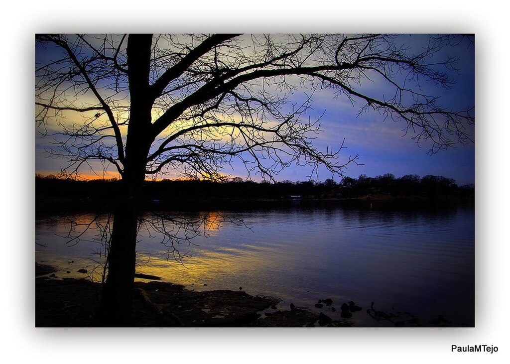 SHUTES BRANSH RECREATION AREA. - panoramio