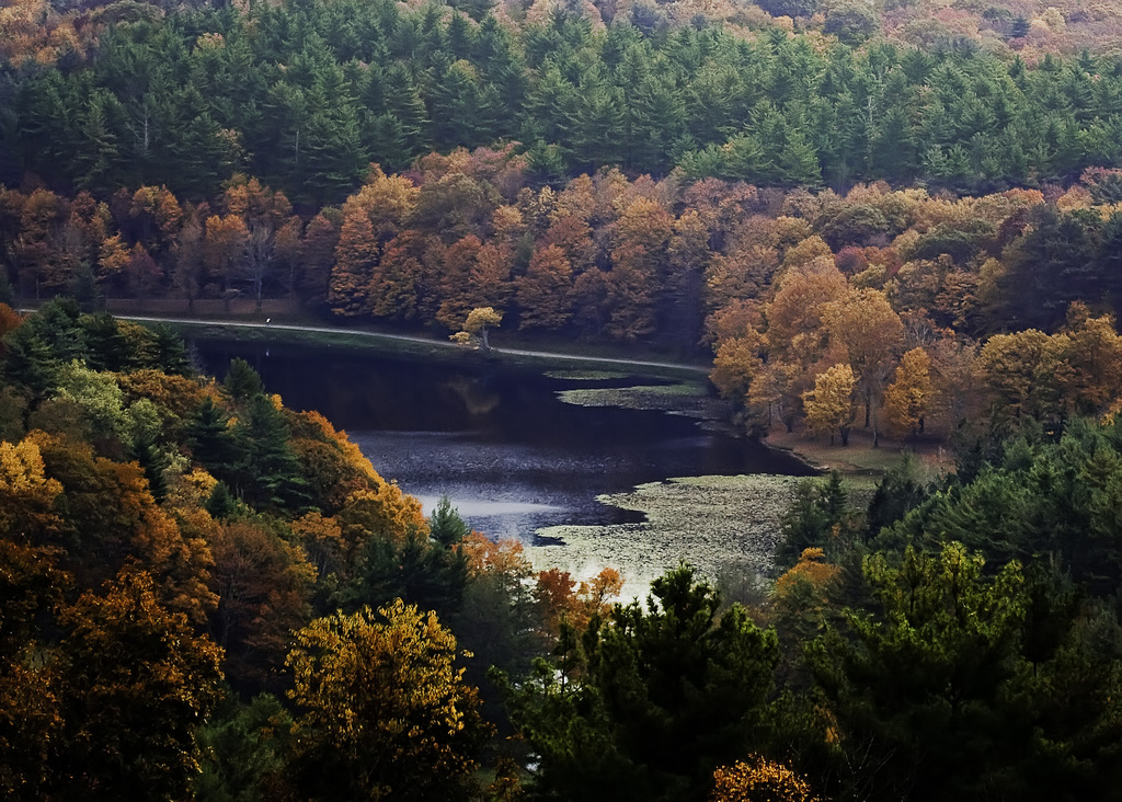 Autumn in Blowing Rock NC