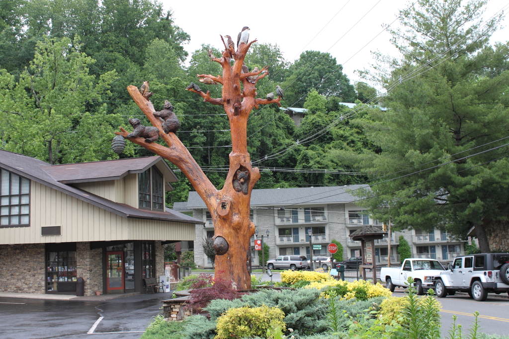 Gatlinburg, TN