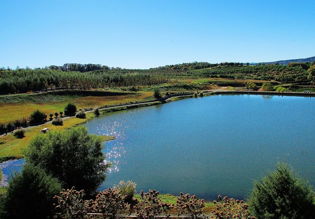 Mercier Orchards