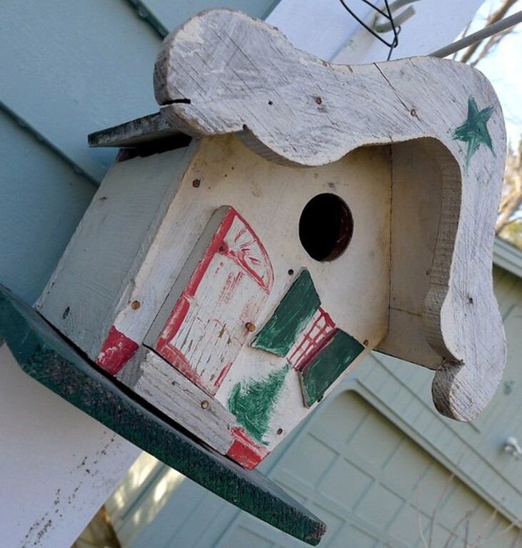 Bird House