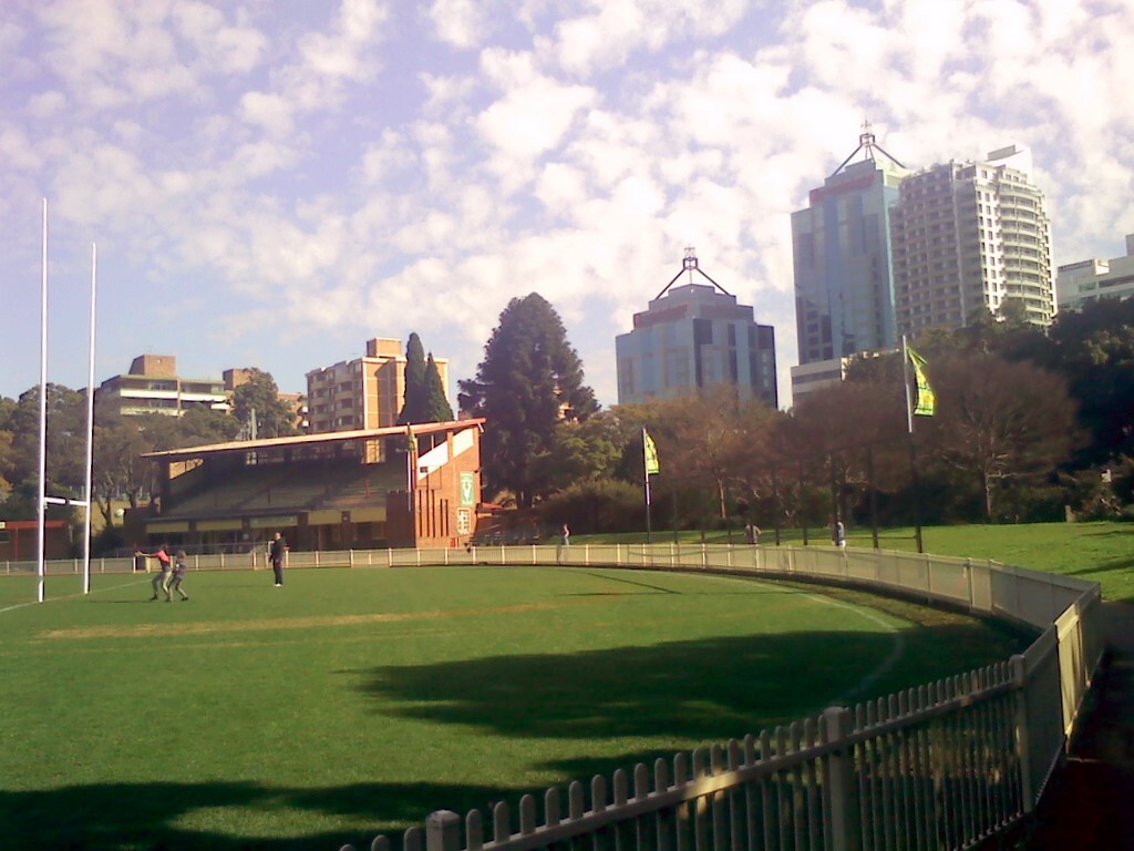 Chatswood Oval Sunday morning