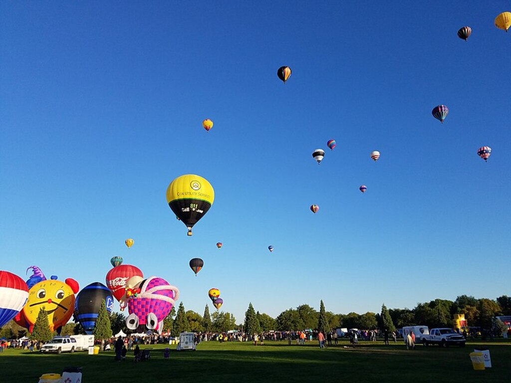 Spirit of Boise Balloon Classic 2018 (6)