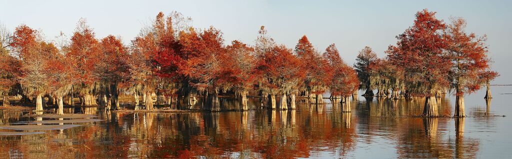 Santeerefuge