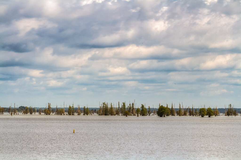 20150820-IMG_4588_HDR-2