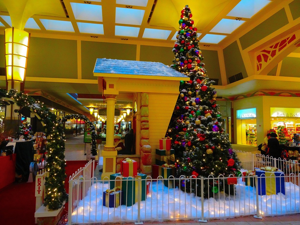 East Towne Mall Center Court - panoramio (2)