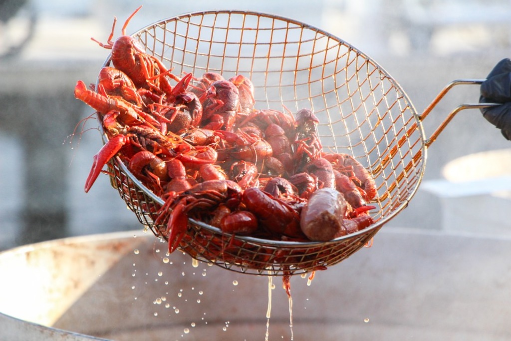 Country Cajun Crawfish Festival