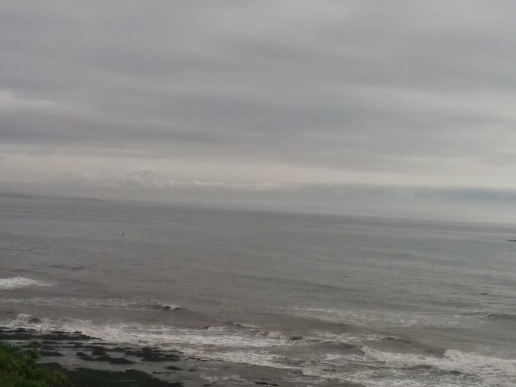 Spyglass Park beach view