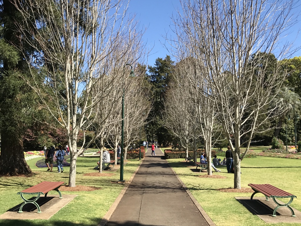 Toowoomba Queens Park Botanic Gardens 03