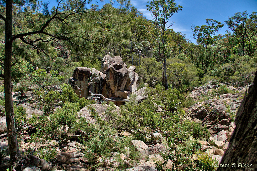 Crows Nest national park