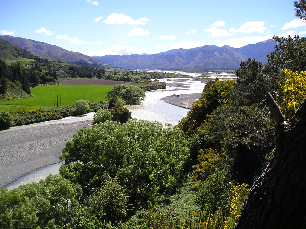 Waiau River upstream of Waiau Ferry Bridge