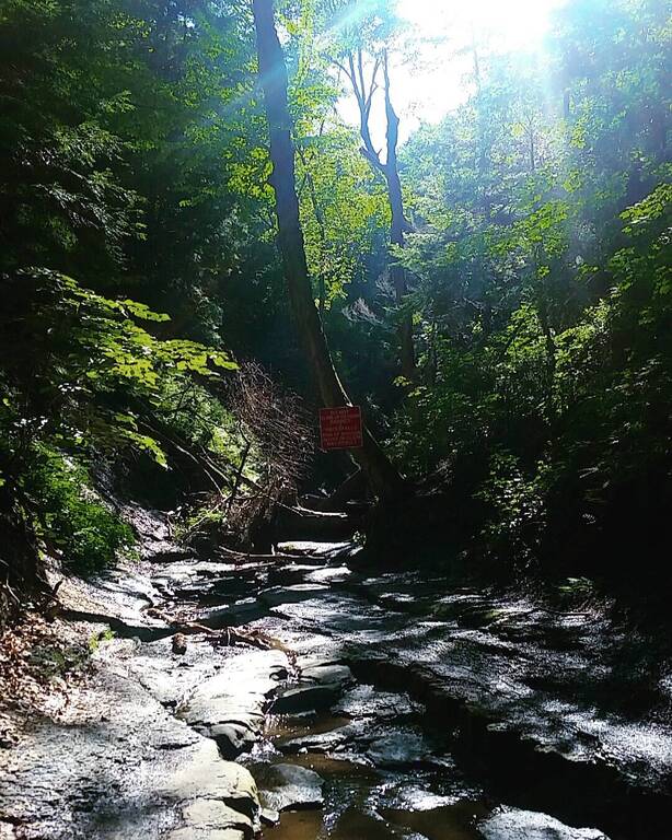 things to do in orchard park new york | go for a walk at chestnut ridge park