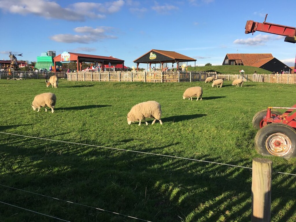 Old MacDonald's Farm