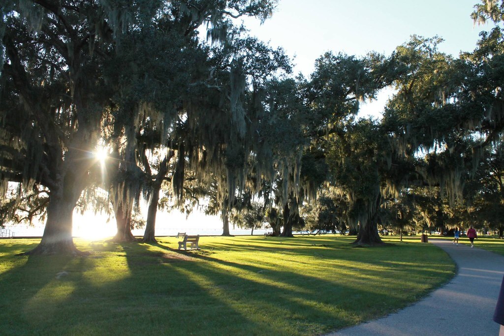 things to do in slidell louisiana | visit the beautifully preserved slidell at camp salmen
