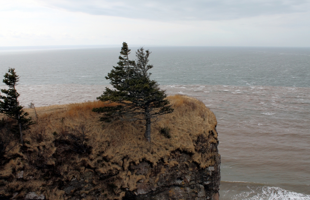 Cape Split Provincial Park Reserve, Nova Scotia 003