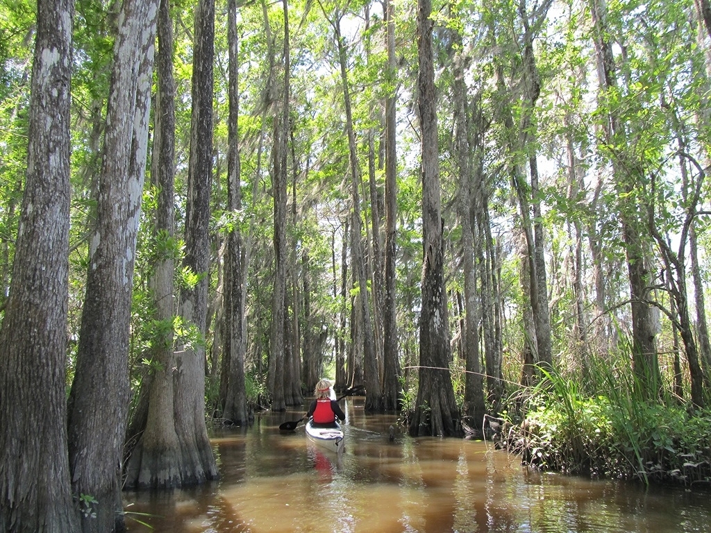 Darien, Georgia Kayaking