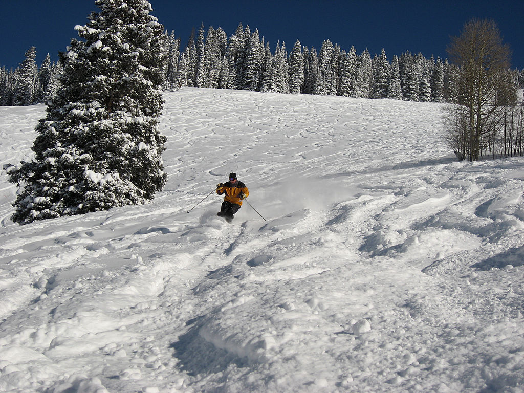 Powder Day Vail Colorado USA