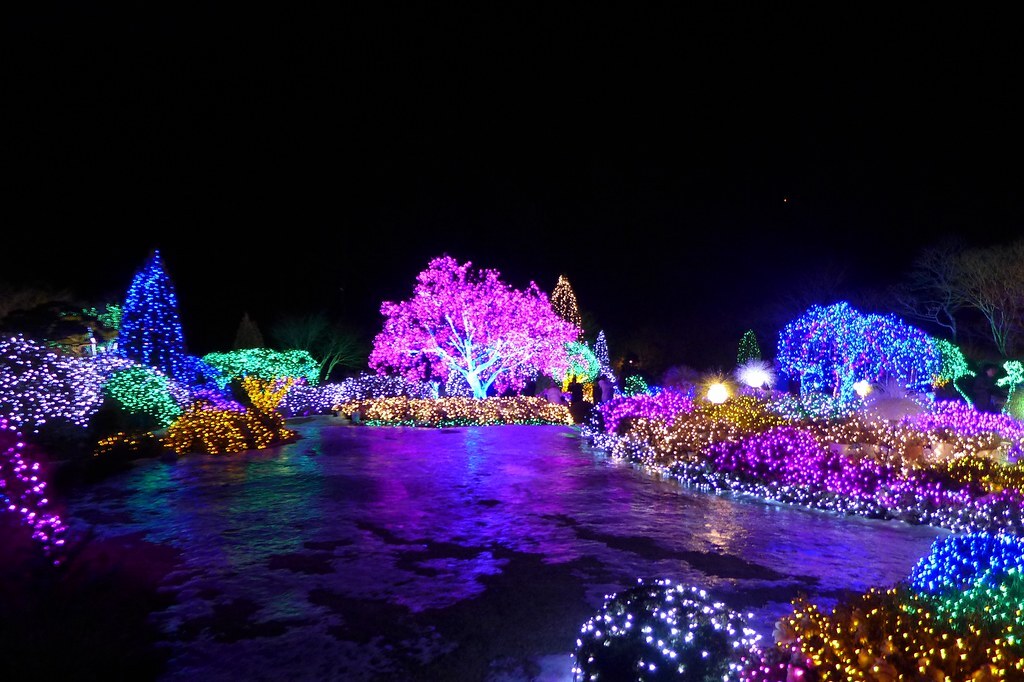Garden of Morning Calm Starlight Festival
