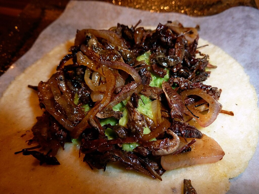 Chapulines–a great way to end the cricket crawl