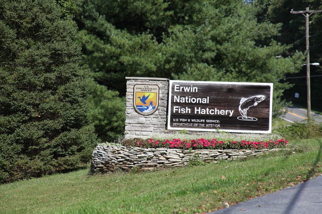 Erwin National Fish Hatchery