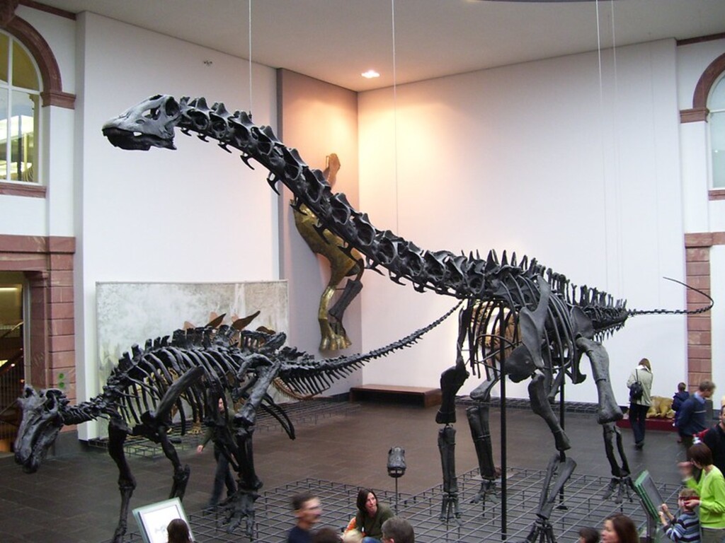 Muséum Senckenberg , Naturmuseum Senckenberg , Francfort sur le Main, Land de Hesse, Allemagne