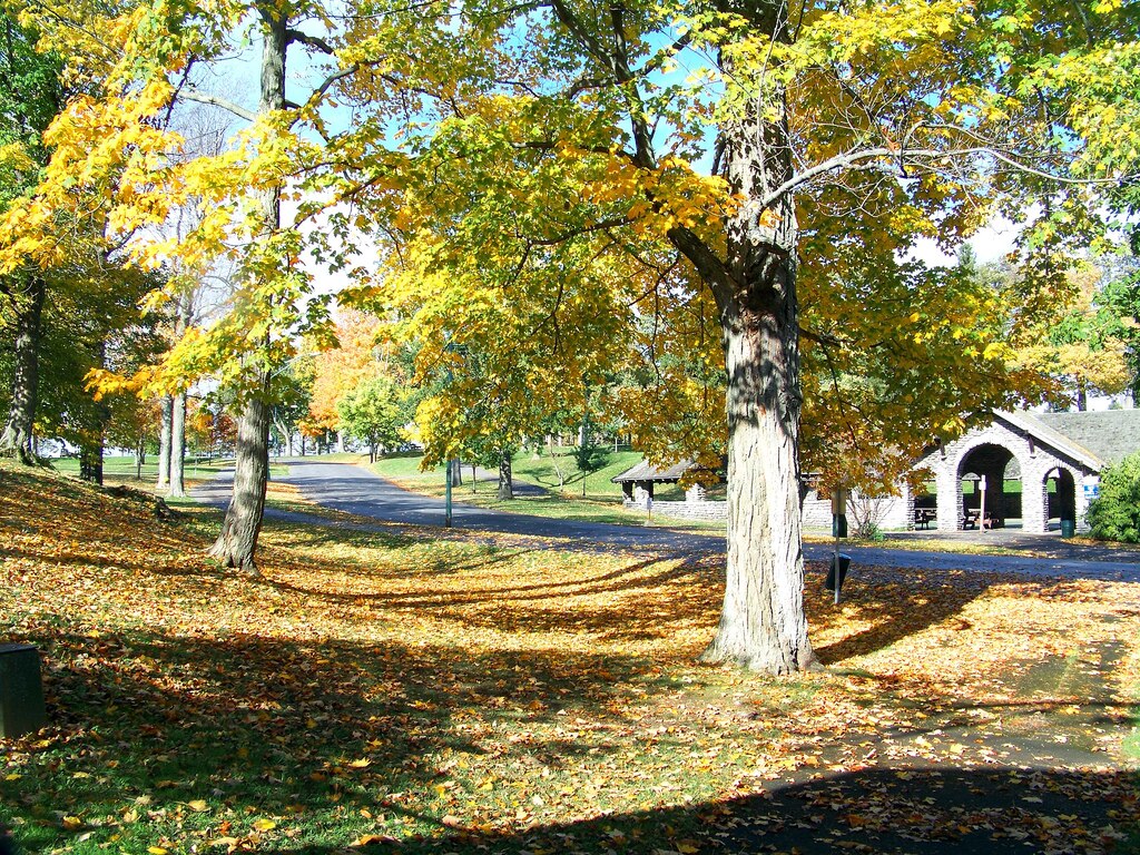Thompson Park