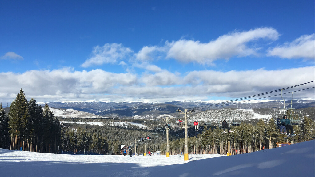 The view