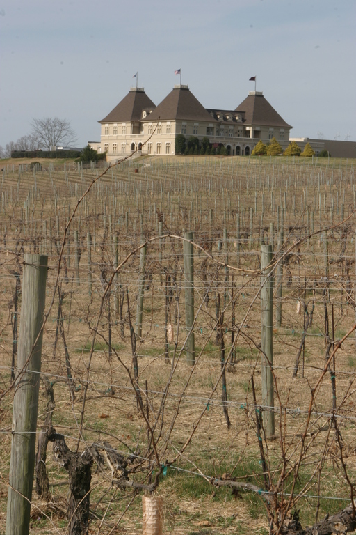 American winery Chateau Elan