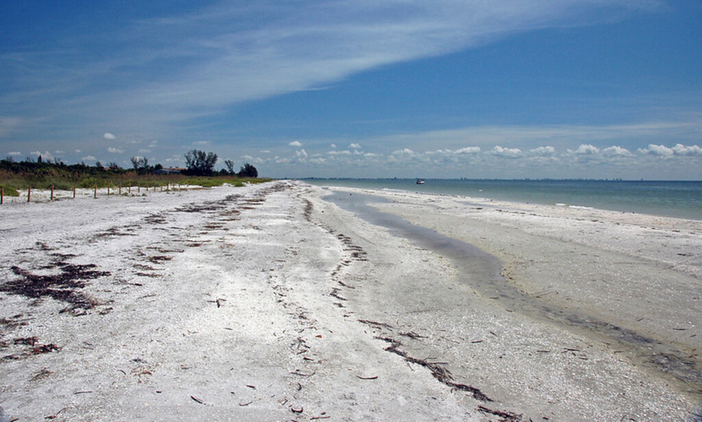Algiers Beach (Sanibel Island, Florida, USA)