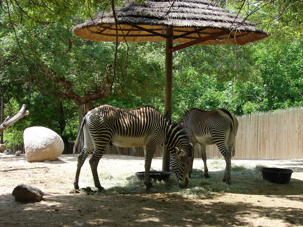 Hogle Zoo