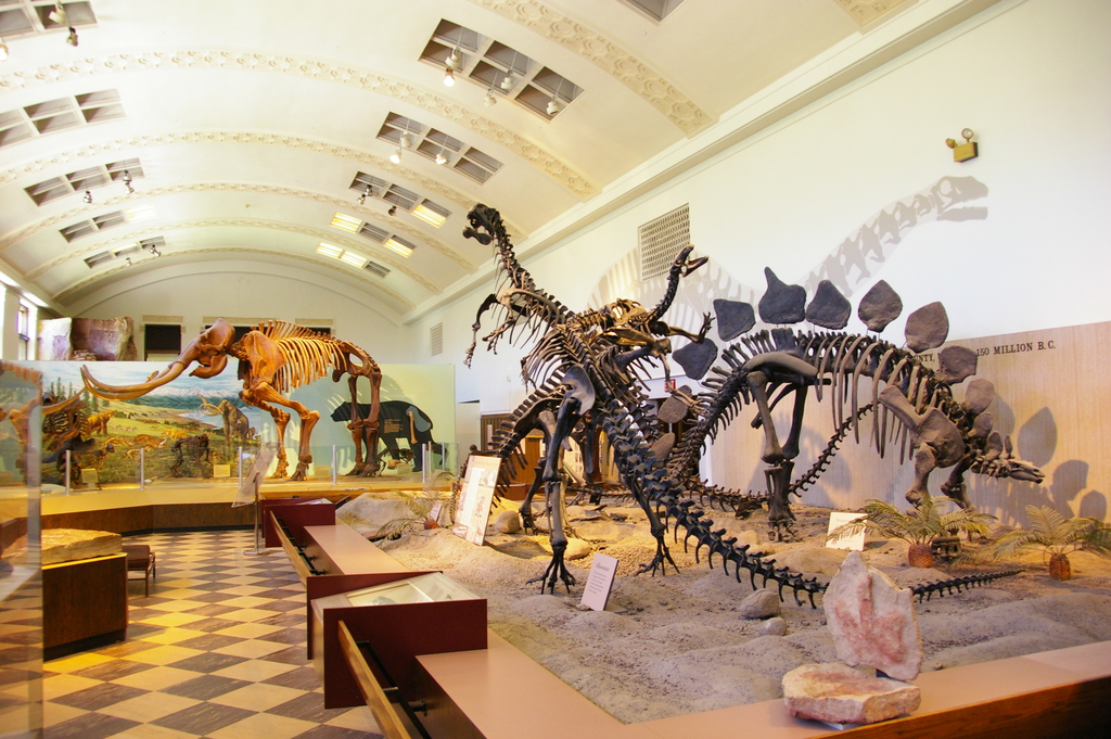 Utah Museum of Natural History
