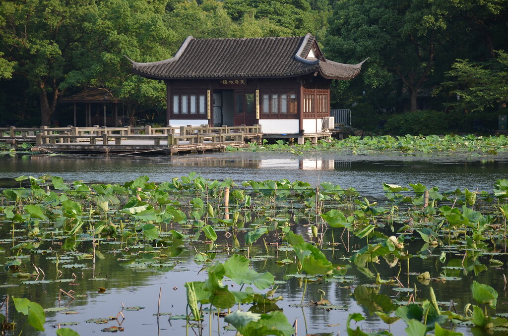 Xixi Wetland Park- love the foreground!