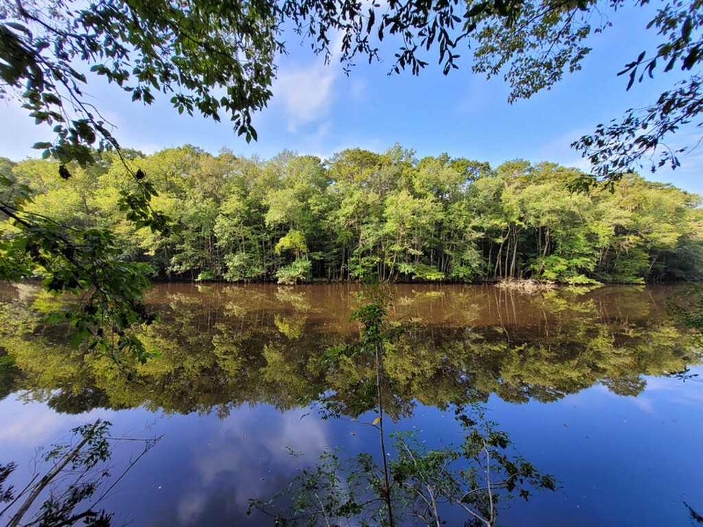 Congaree National Park