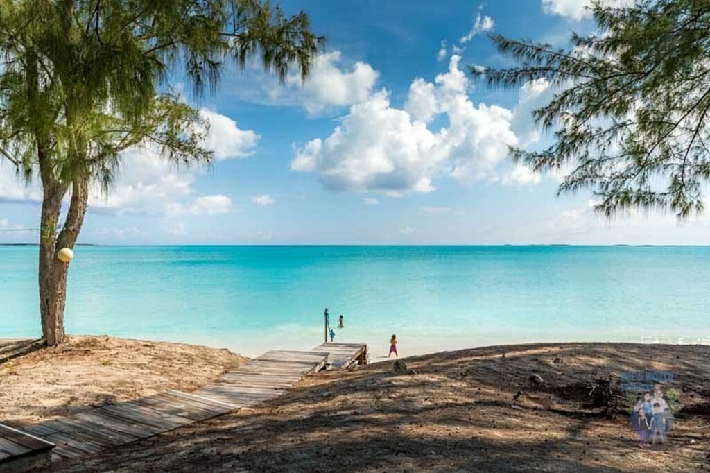 things to do in exuma bahamas | be amazed by marine life at great exuma island