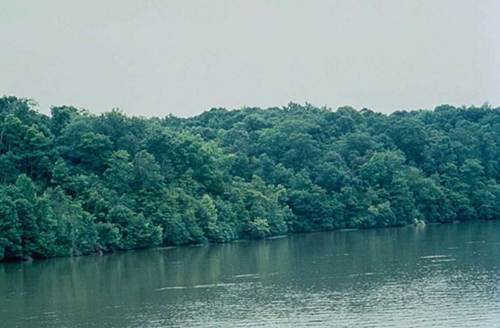 Neuse river north Carolina