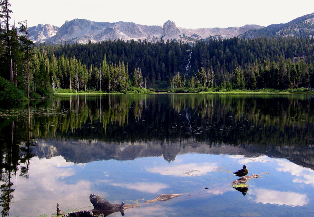 Twin Lakes with a duck twilight, Mammoth Lakes, California