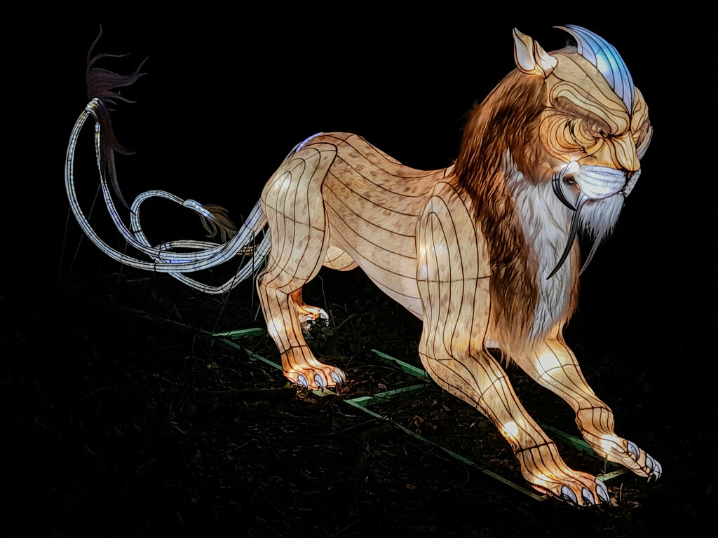 Lightopia