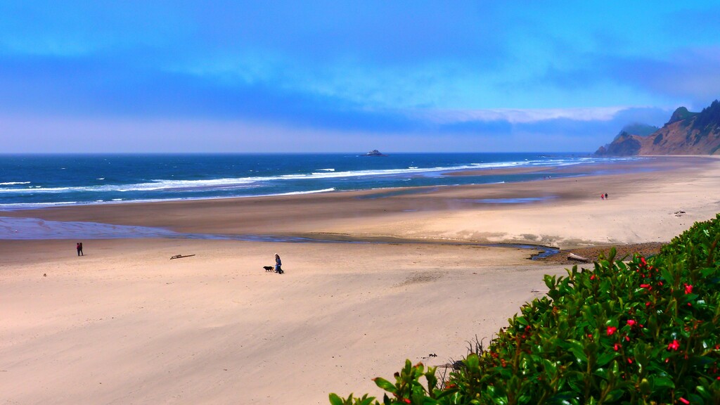 Beach at Roads End State Recreation Site