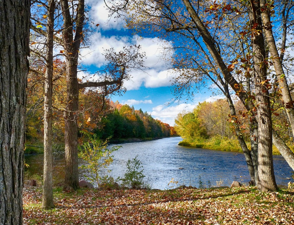 Land o' Lakes