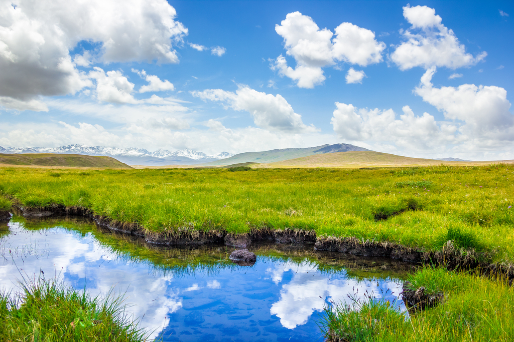 Deosai National Park, Pakistan -August