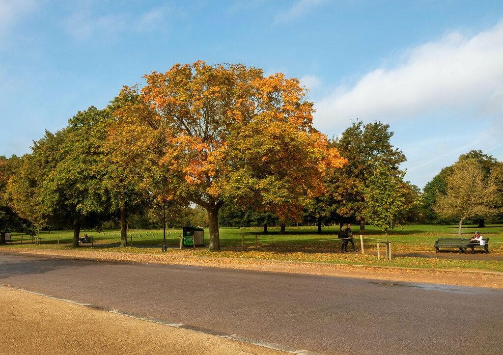 Hyde Park in Autumn