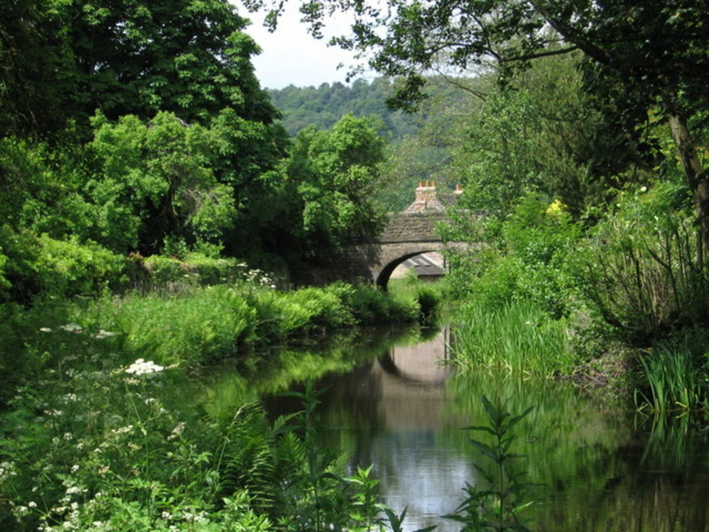 Ambergate - Cromford Canal near Stonycroft - geograph.org.uk - 1353853