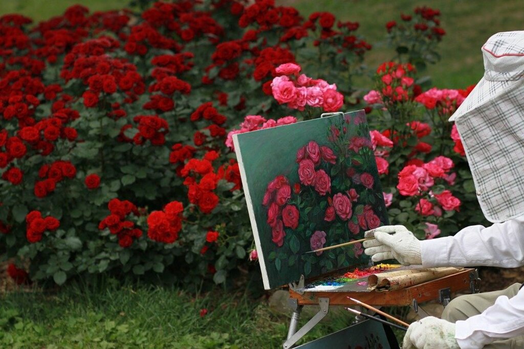 Rose painting
