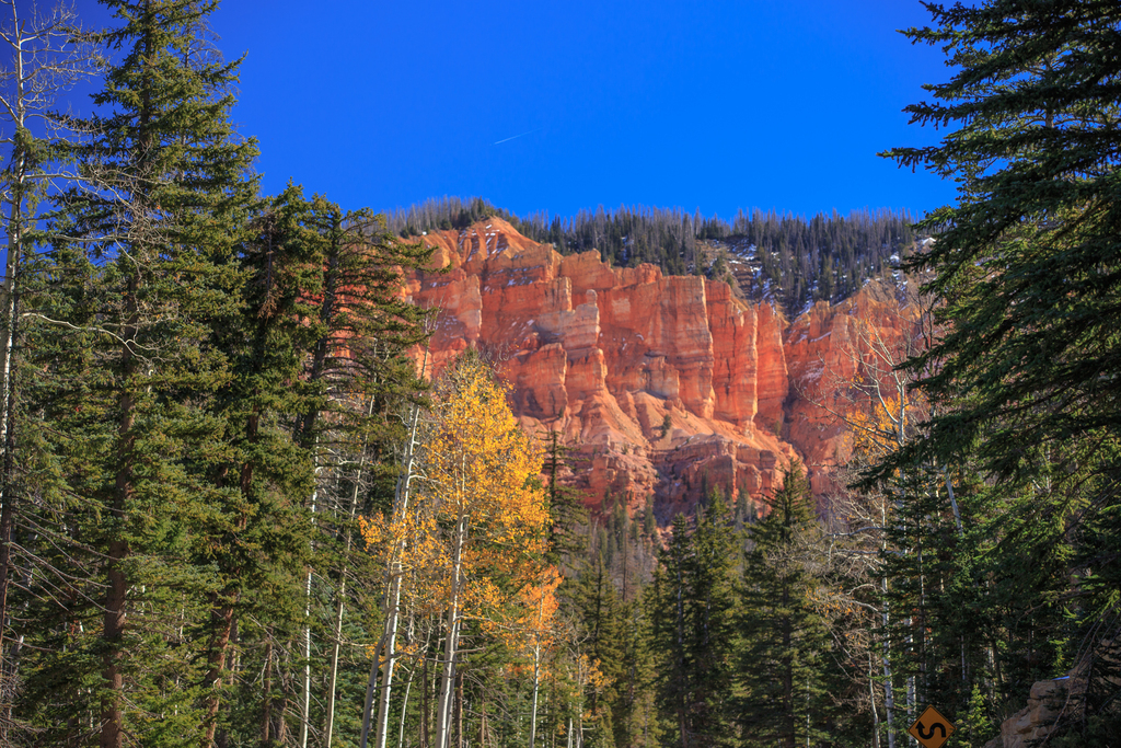 Autumn shots in Cedar Canyon, Utah, just East of Cedar City. (8124284370)