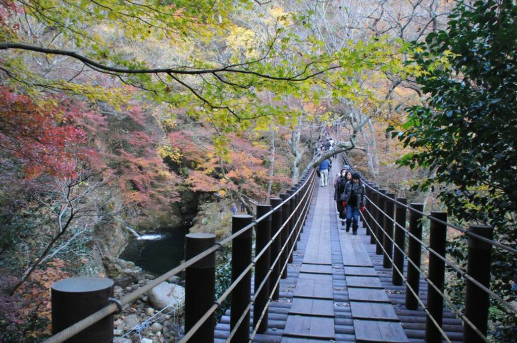 Stroll beneath the breathtaking autumn foliage of Hananuki Valley