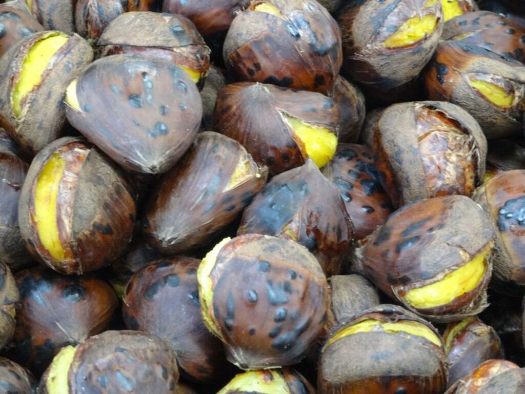 Savour Ibaraki's famous chestnuts at Kozawa Kurien