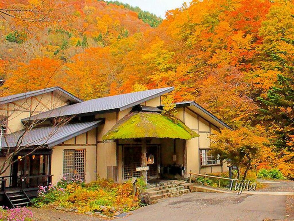 Lodge in the rustic tranquility of Aoni Onsen