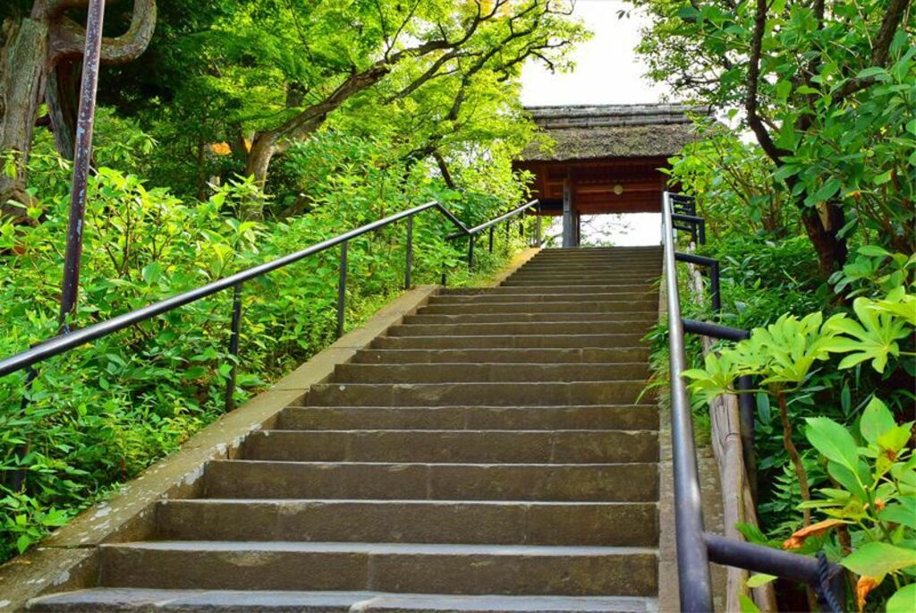 Tour the historic women's refuge of Tokeiji Temple